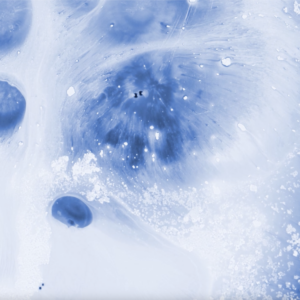 Cellarity